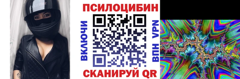 Купить  Поворино  Псилоцибиновые грибы Psilocybine cubensis 